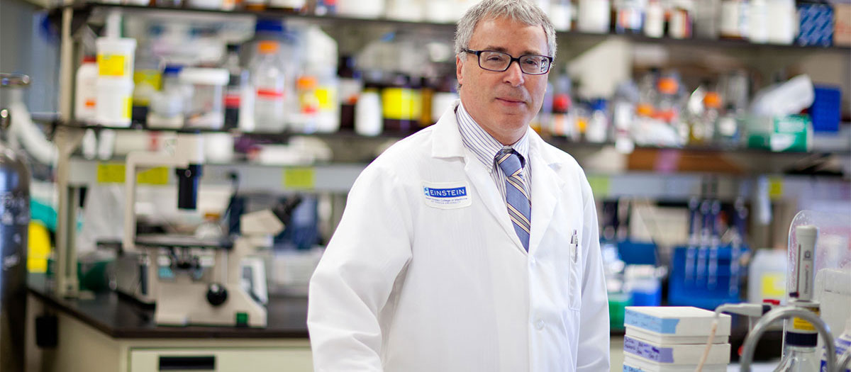 Einstein Receives $6 Million Grant to Untangle the Genetic Protections Against Alzheimer's Disease