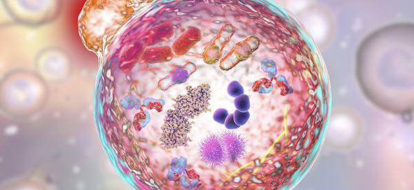 Breakthrough in Detecting Mutations in Genomes of Single Cells