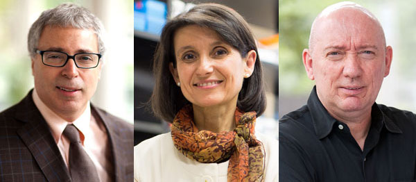 Einstein Researchers Awarded $3 Million for Longevity and Aging Studies