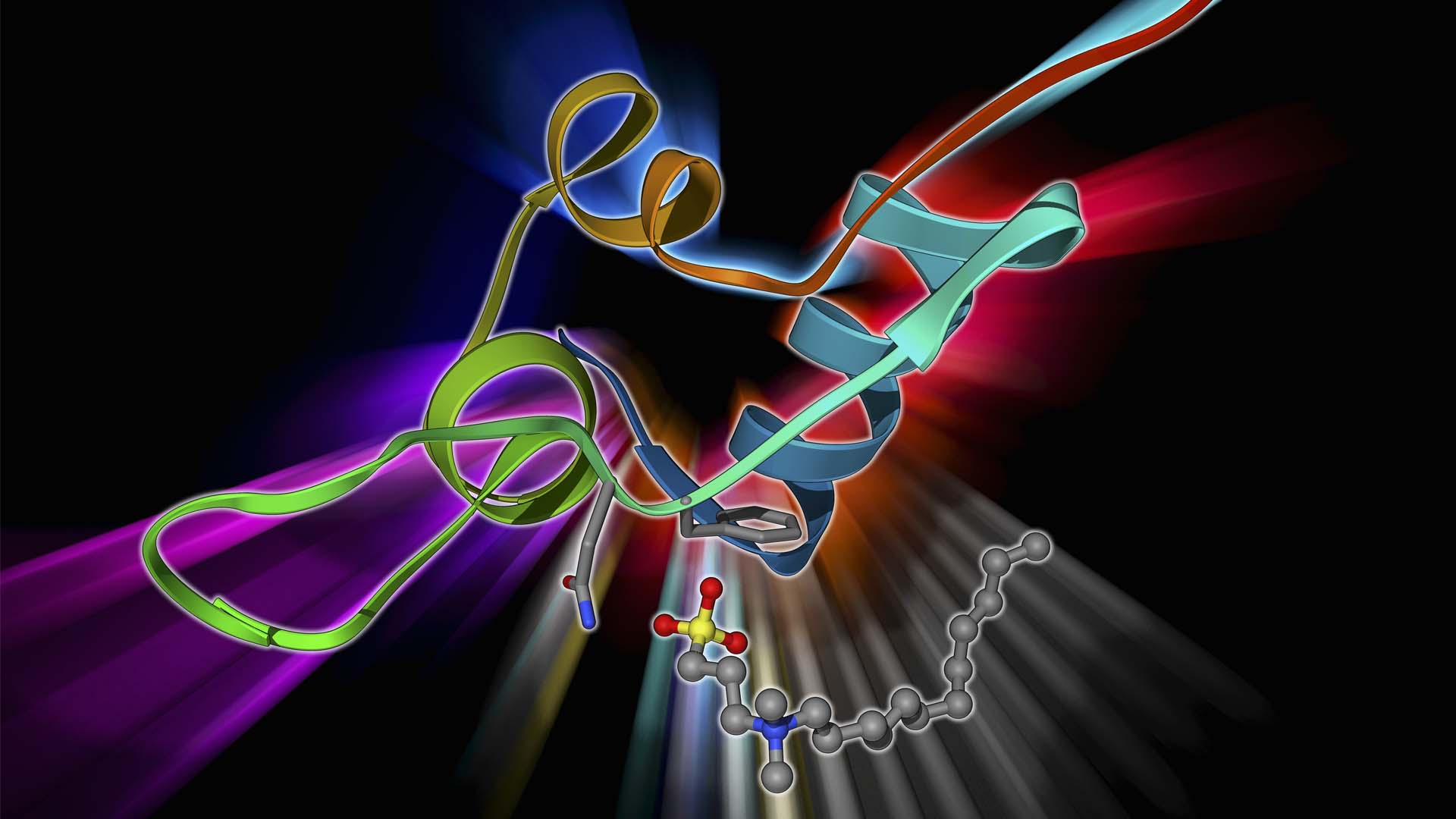 IGF-1 Hormone: Good for the Young but Bad for the Old