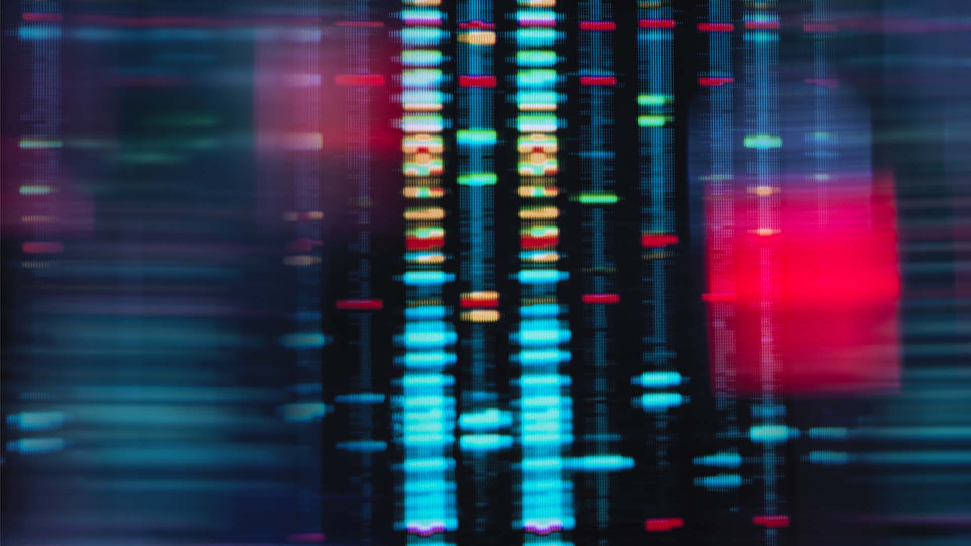 Understanding Extreme Longevity