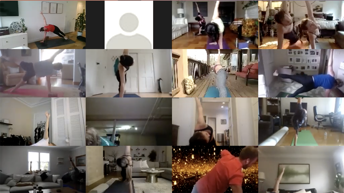 Virtual Vinyasa