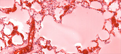 Histotechnology and Comparative Pathology Facility