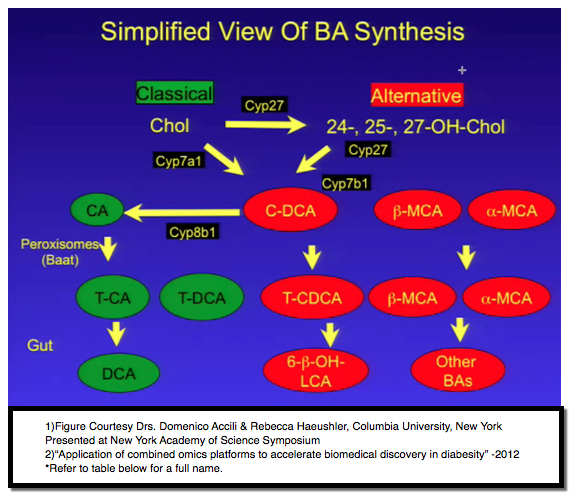 bile acids assay