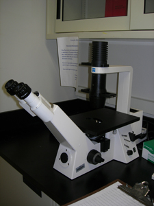 Microscope 1