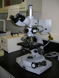 Microscope 2