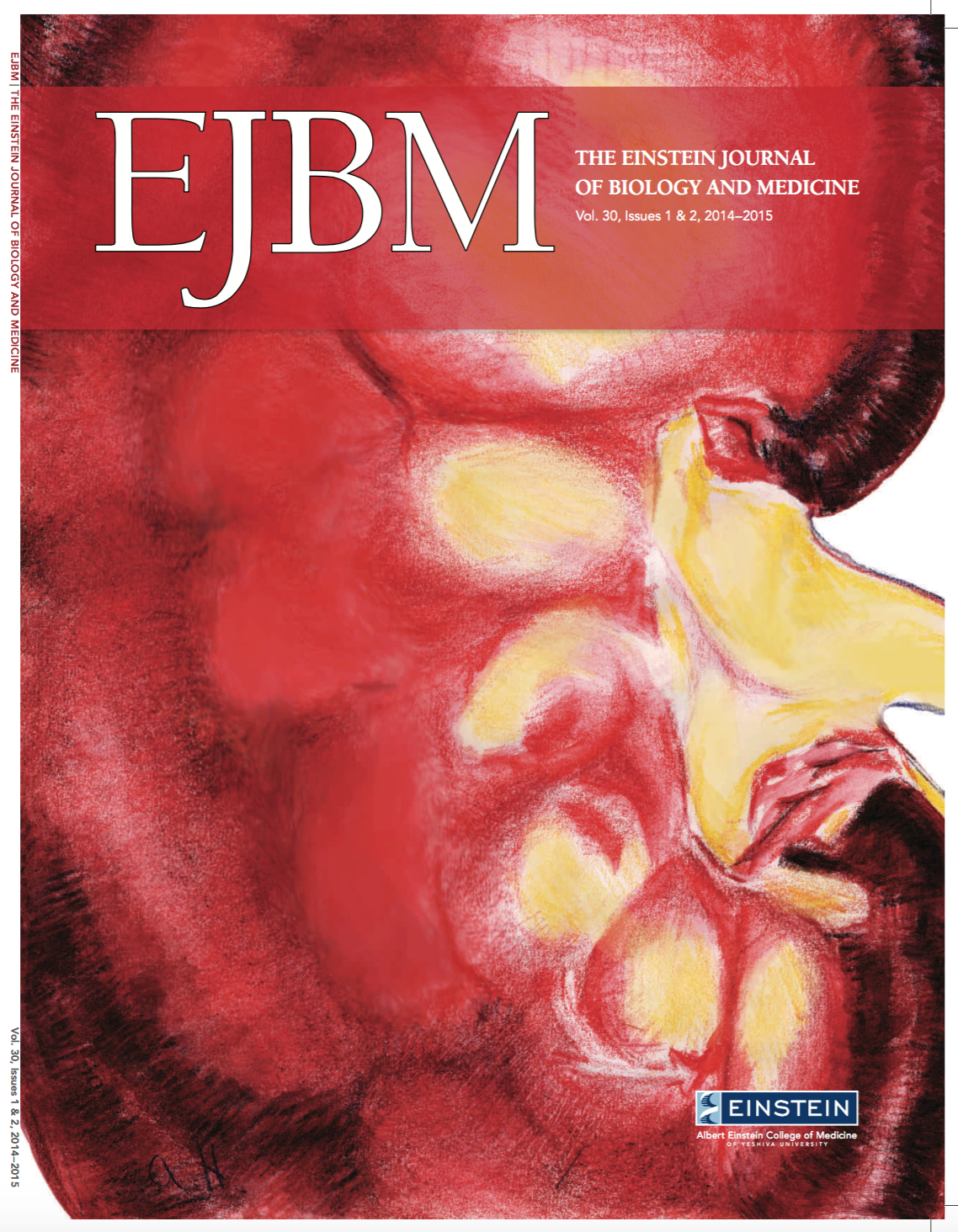 EJBM 30 Cover 