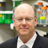 Robert H Singer, PhD