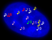Figure 2a from Science Volume 297