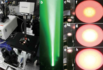 Beam profile along the optical axis of the microscope.