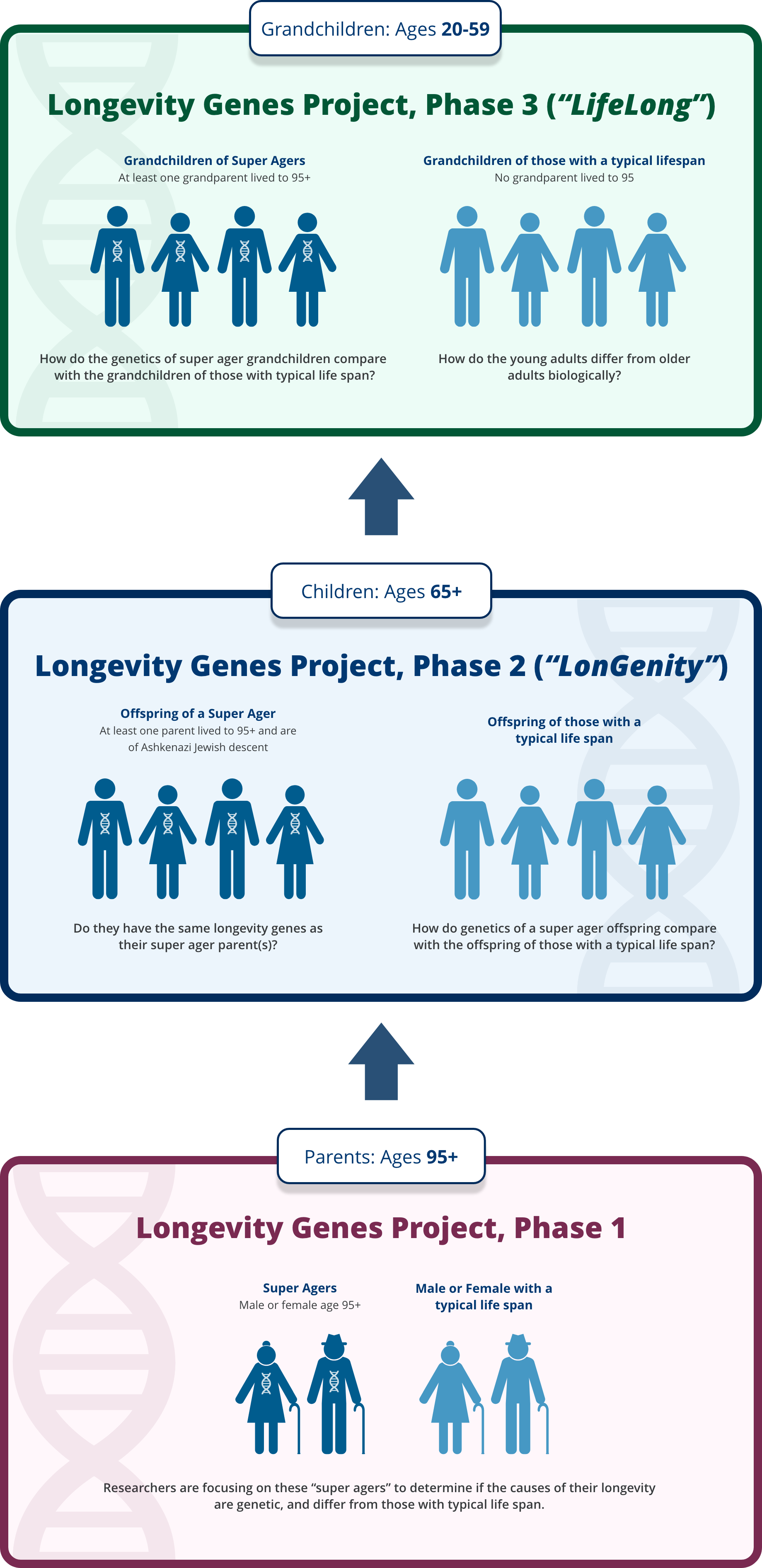 LifeLong Study Institute For Aging Research Albert Einstein College 