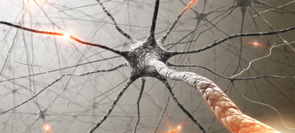 Brain Disorders and Neural Regeneration