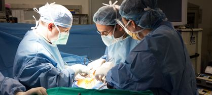 Sugery in the Operating Room
