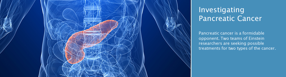 One Size Does Not Fit All: Researchers Explore the Complexity of Pancreatic Cancer