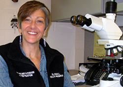 Dr. Denise McAloose in her lab at the Bronx Zoo