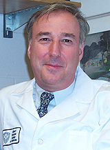 Jeffrey W. Pollard, Ph.D.