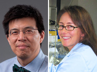 Drs. Tylis Chang and Tracie Seimon, members of the Einstein-Montefiore research team