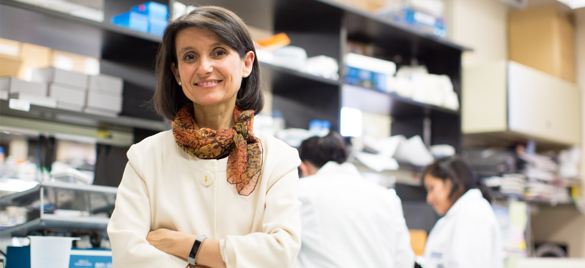 Ana Maria Cuervo, M.D., Ph.D., Elected to the National Academy of Sciences