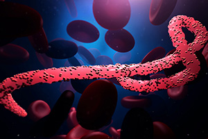 A Major Step in Developing an Effective Ebola Therapy