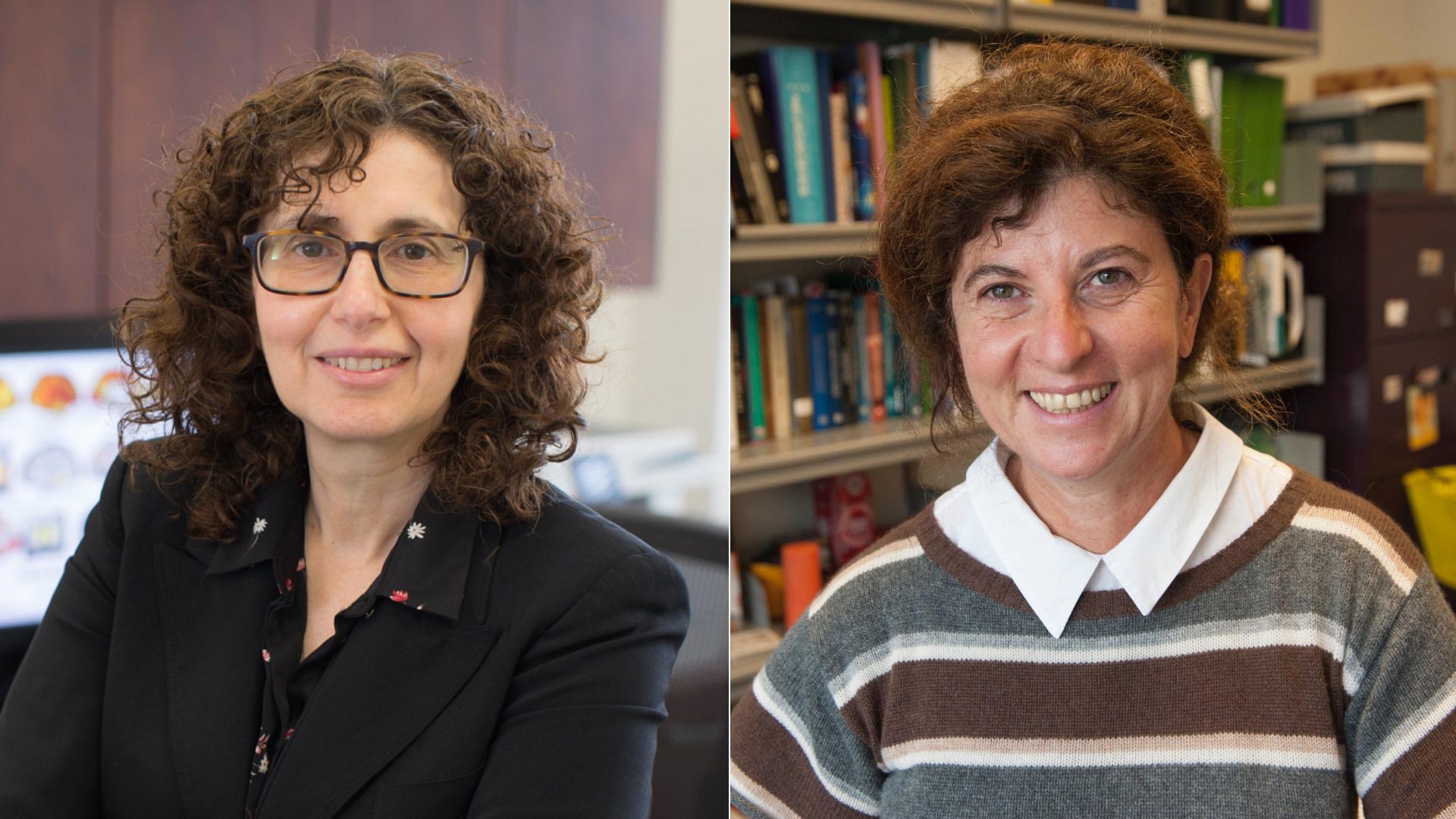 Two Prominent Researchers Take Helm of Psychiatric Research Institute at Montefiore Einstein