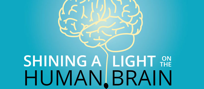 Shining a Light on the Human Brain