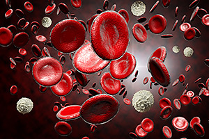 Understanding blood-forming stem cells