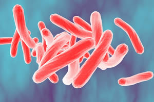New Data for TB Research