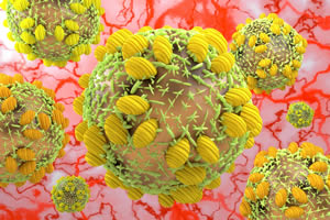 Hepatitis C Virus Can Infect Pancreatic Islet Cells