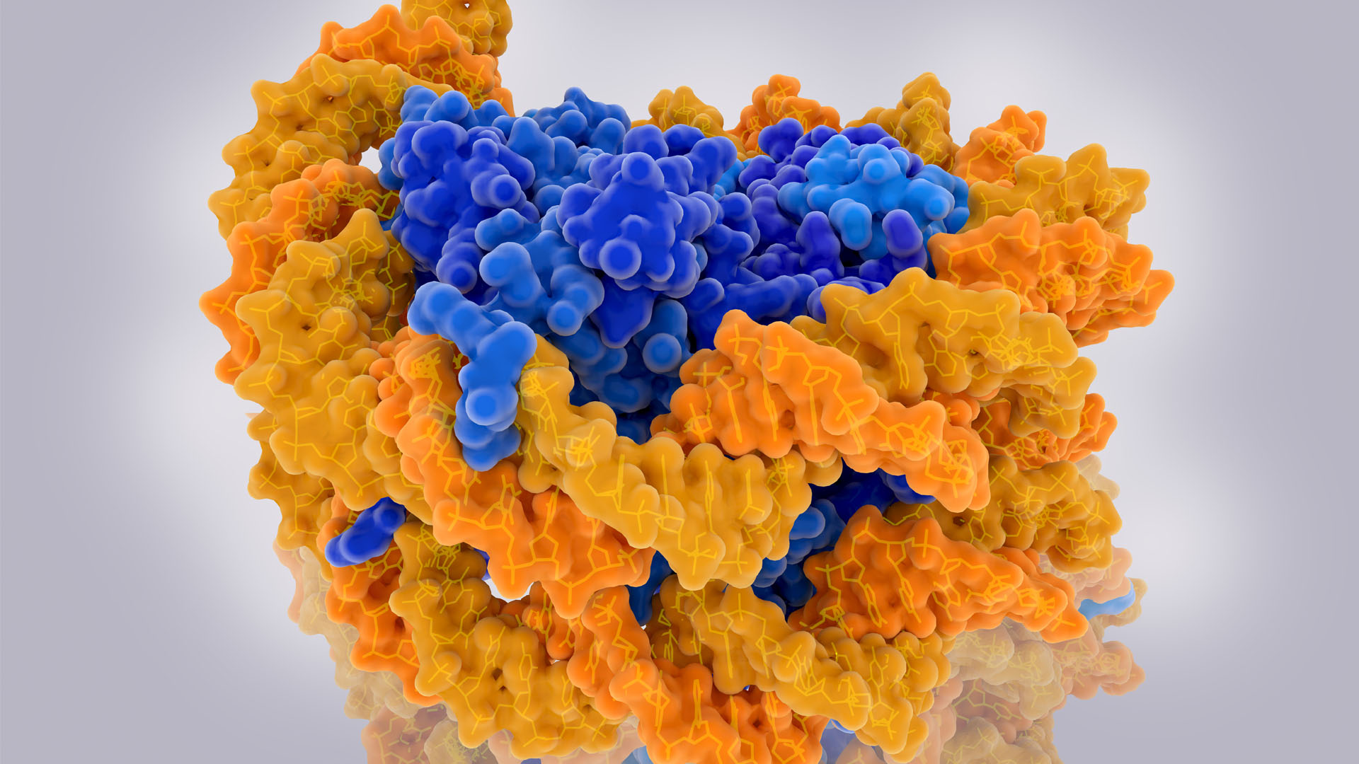 Gaining Insight into Histone Proteins