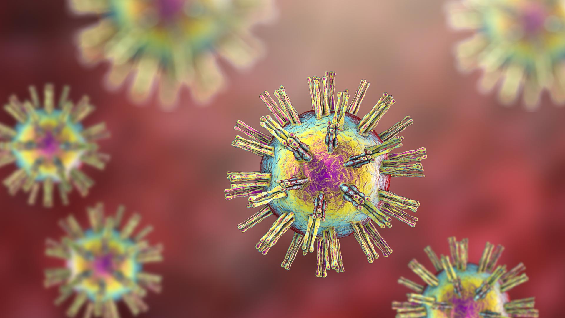How a Herpes Vaccine Harnesses the Immune System