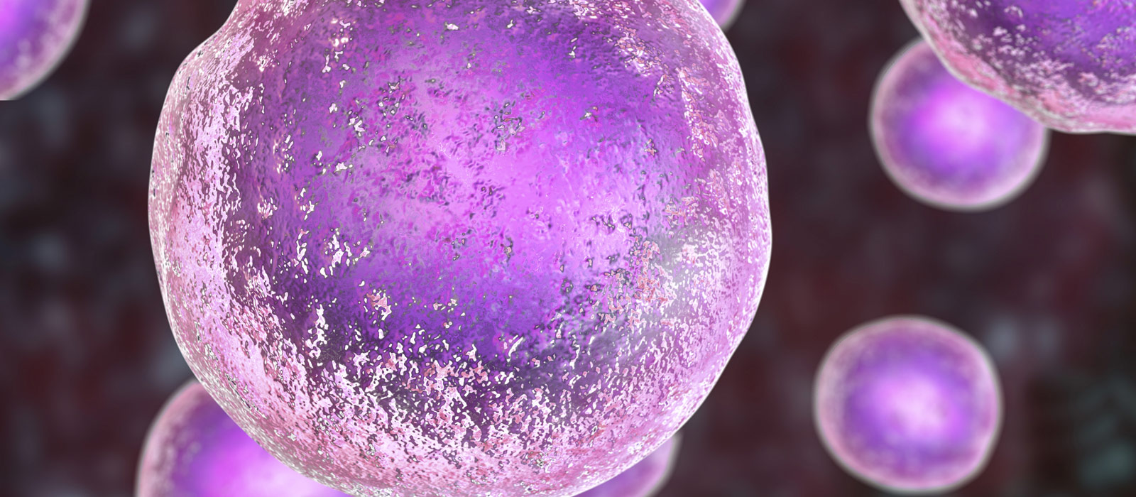 Keeping Embryonic Stem Cells Pluripotent