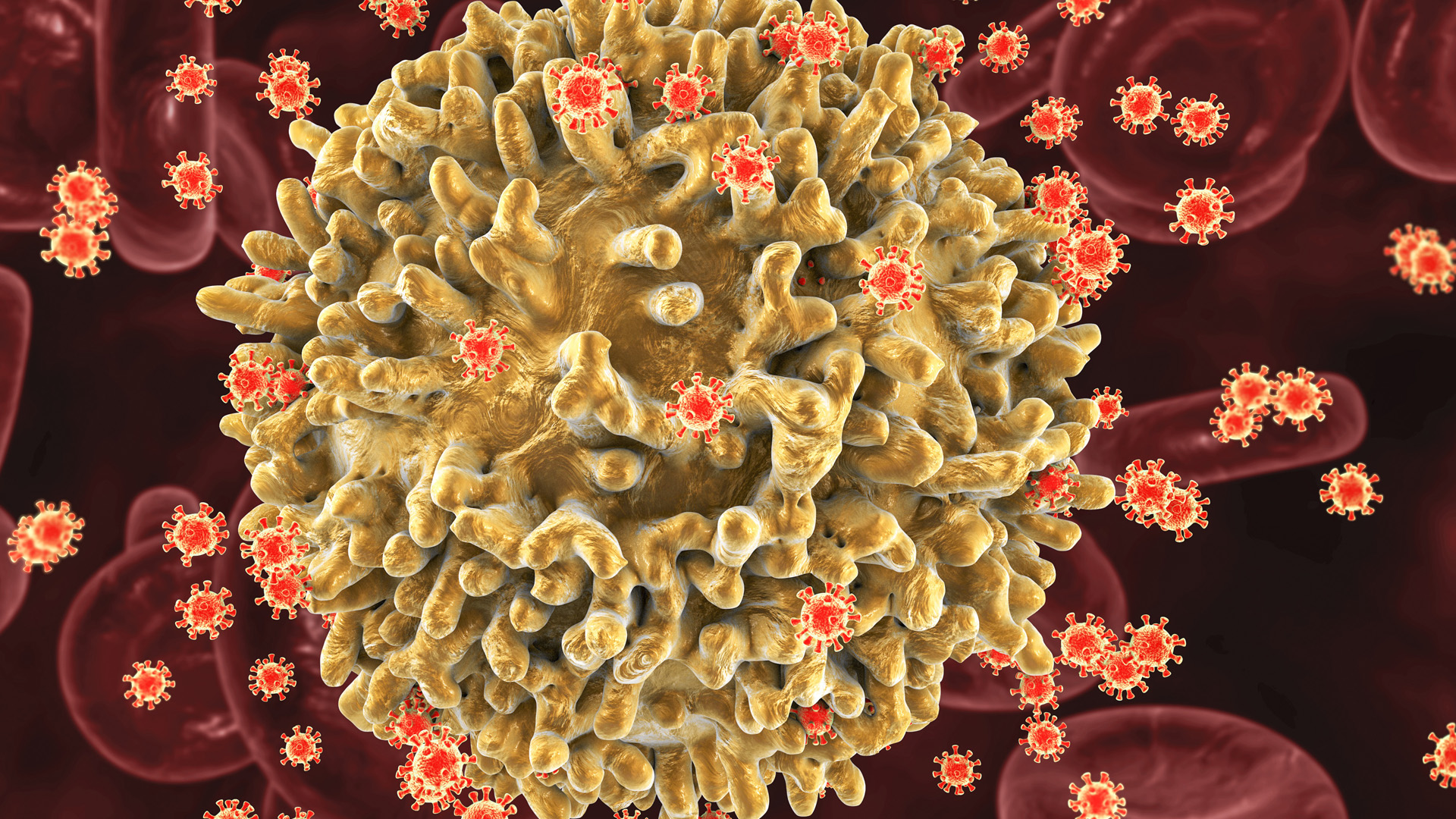 Finding an HIV Drug’s Mechanism of Action