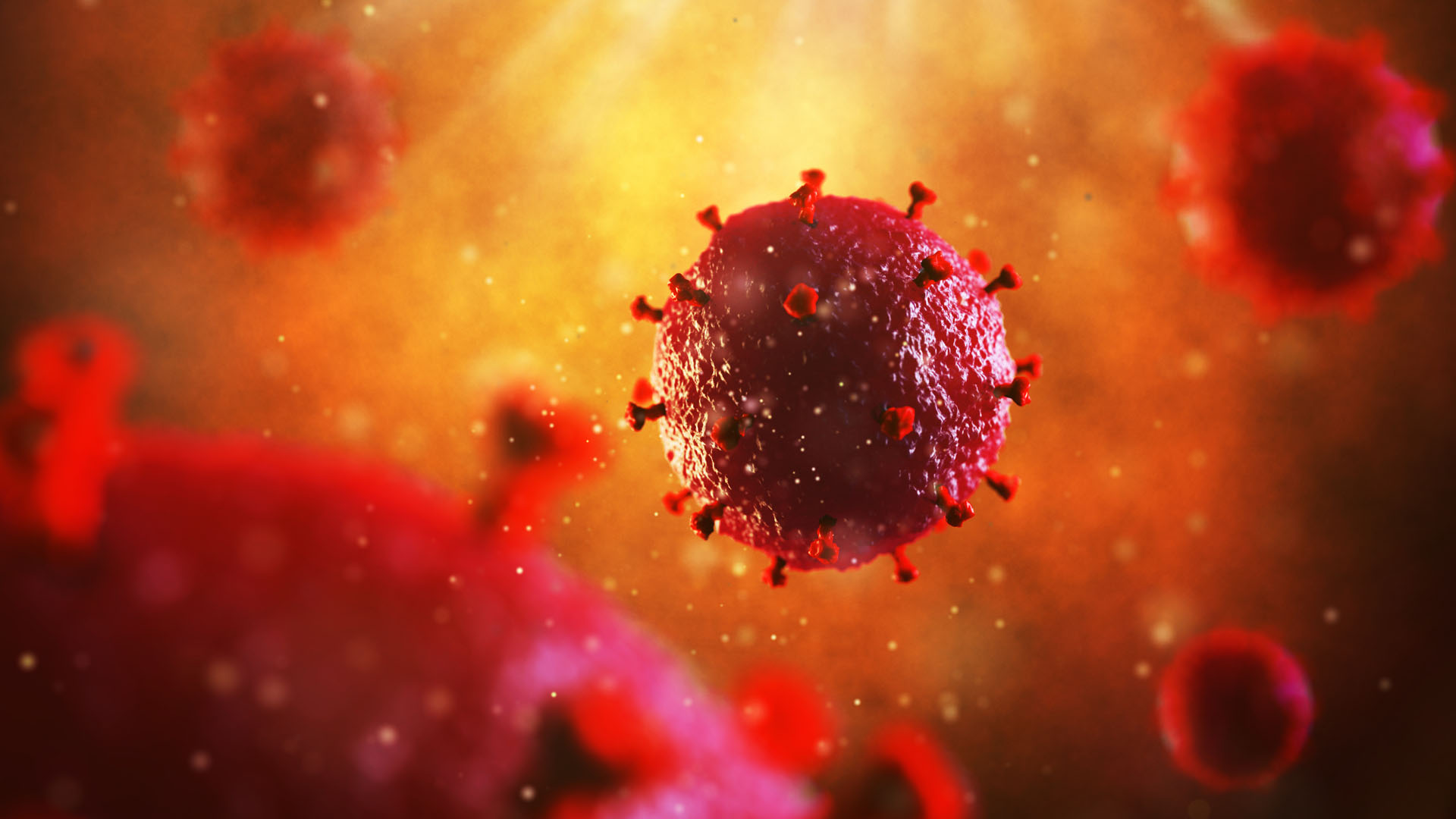 Developing New Drug Targets for HIV