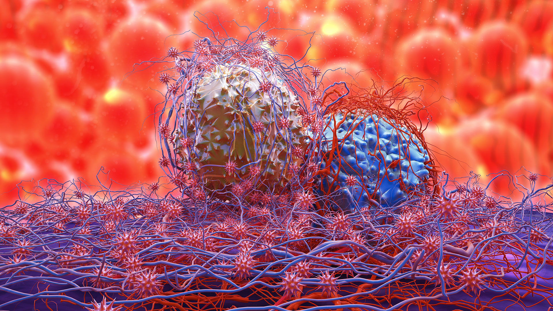Preventing Proliferative Cancer Cells from Awakening