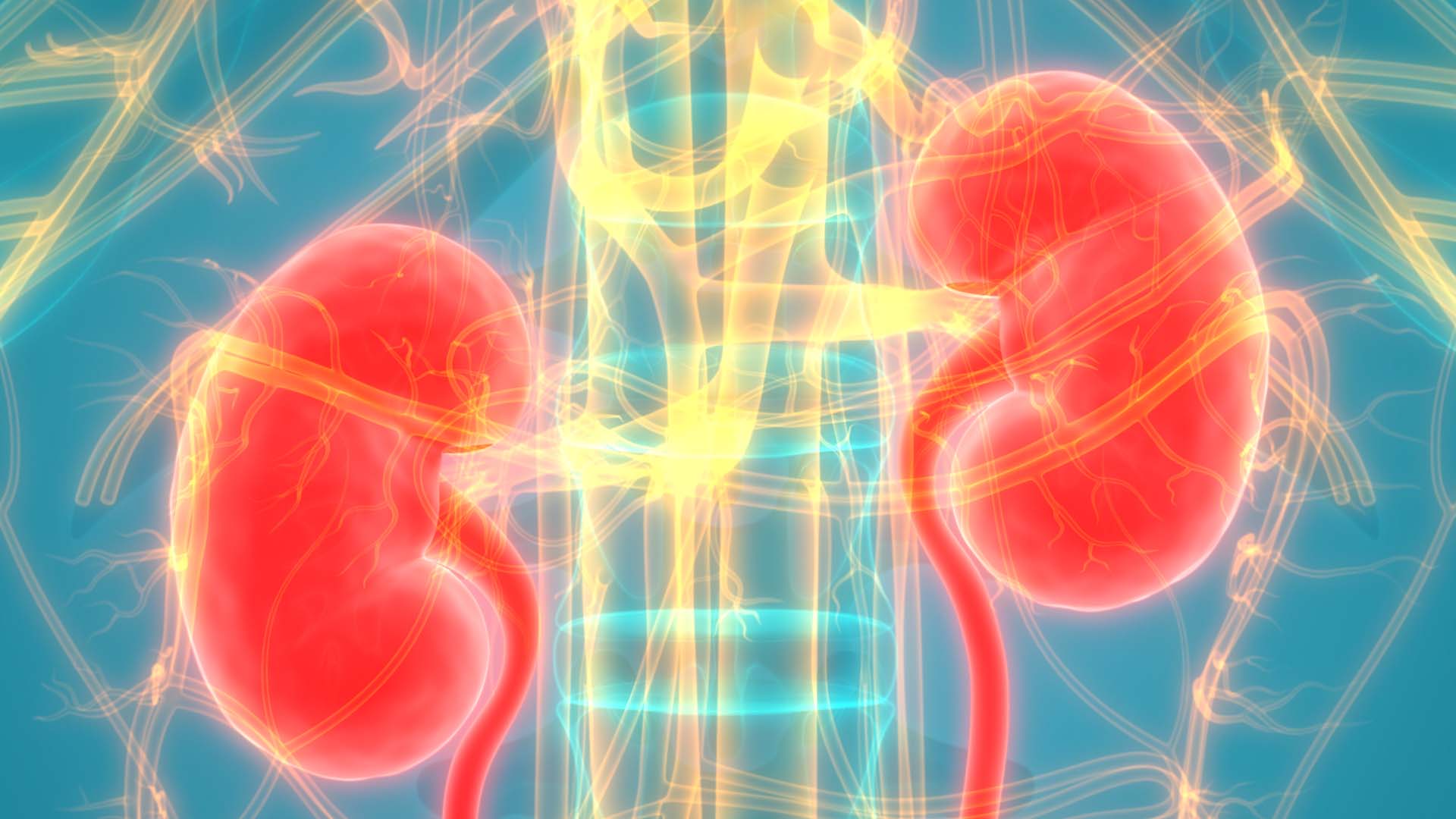 Preventing Chronic Kidney Disease Complications
