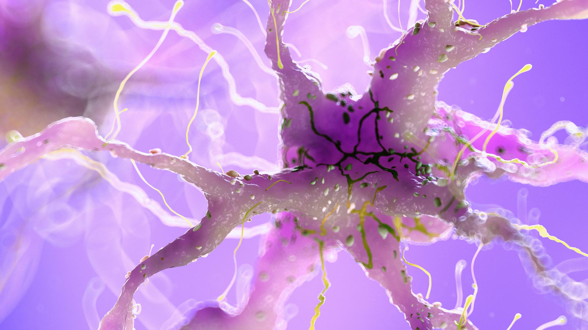 Exploring Genomic Instability in Alzheimer's Disease