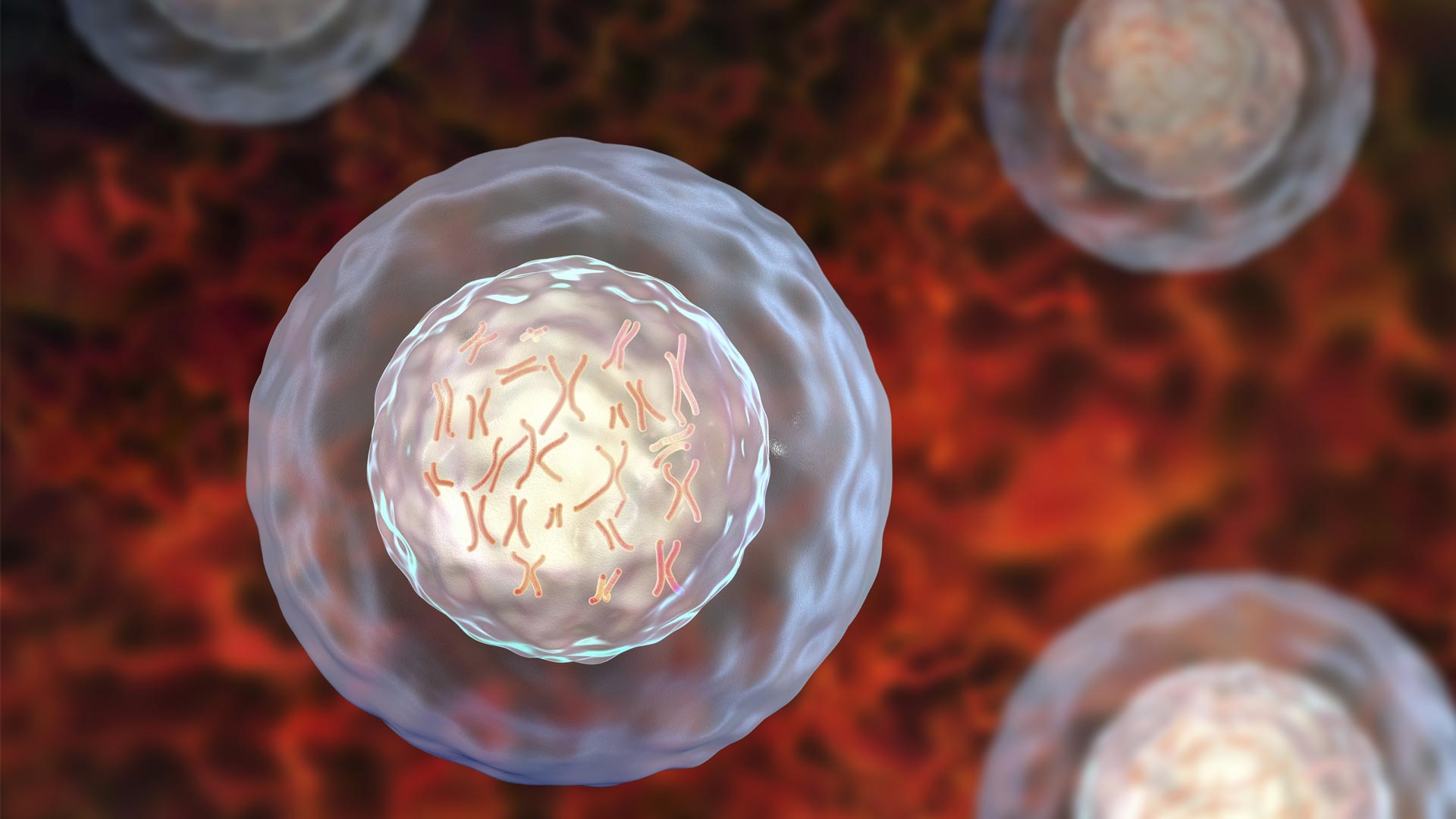 Cell Competition Eliminates Abnormal Cells