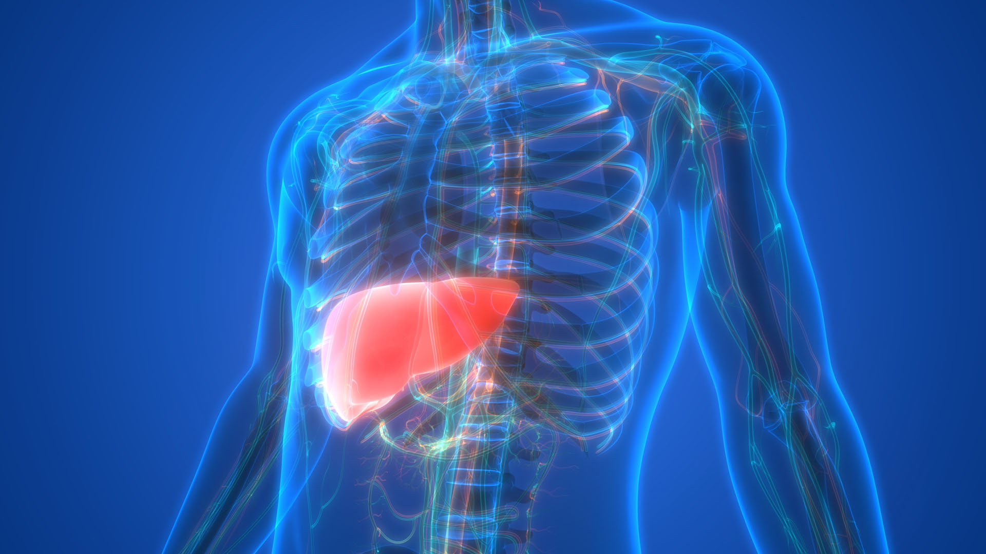 Finding the Causes of Fatty Liver Disease in Latinos