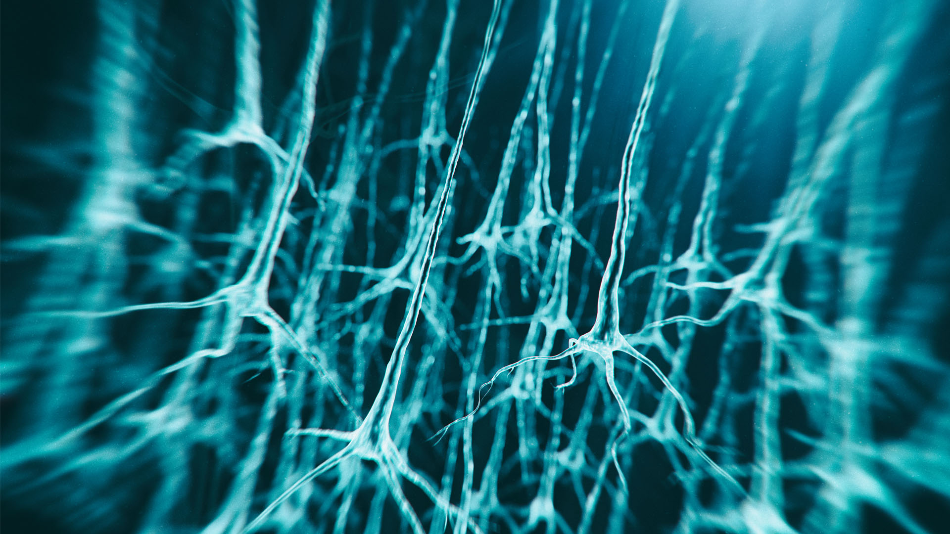 Studying How Adult-Born Neurons Affect Cognition