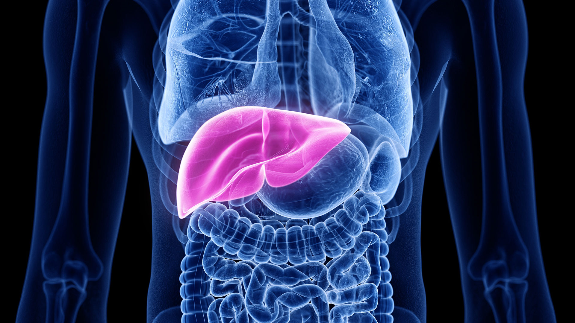Targeting Nerves to the Liver as Potential Diabetes Treatment