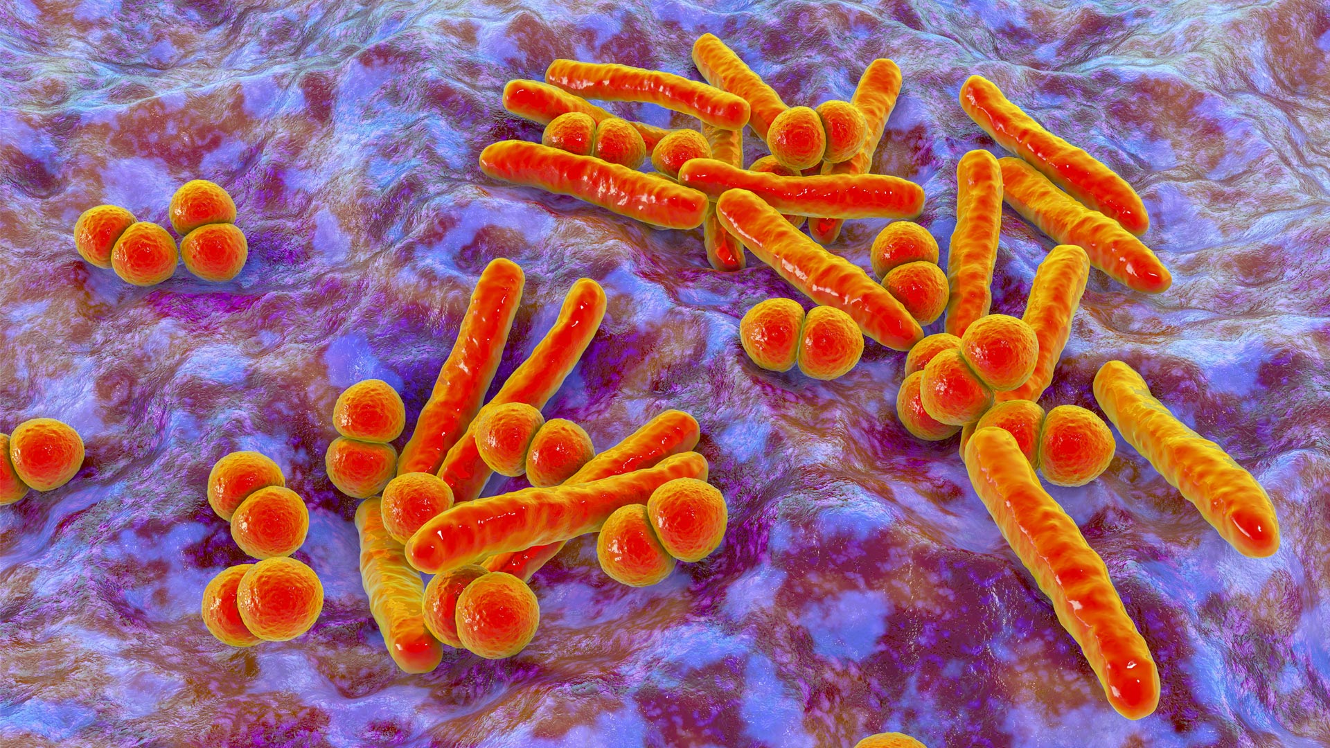Mutated TB Bacteria Could Lead to Vaccine
