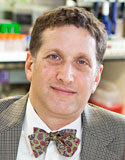 Steven C. Almo, Ph.D.