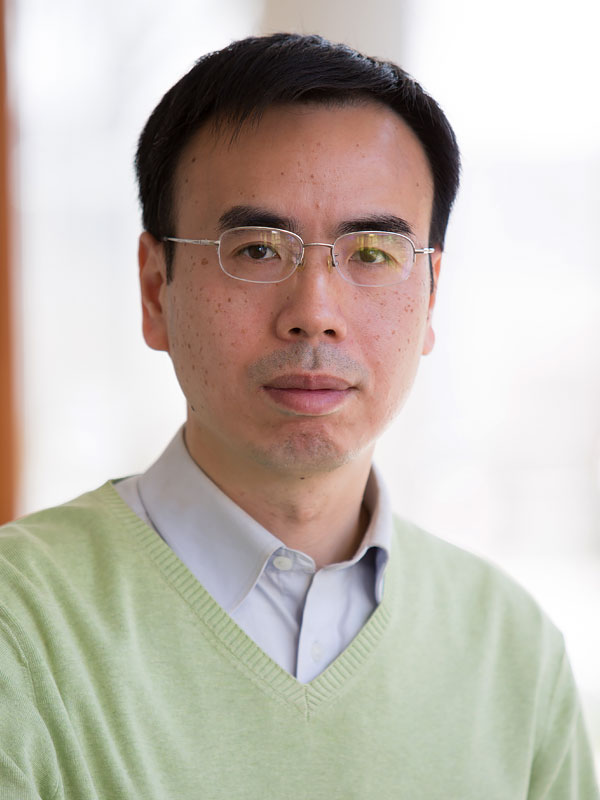 Xianhong Xie, Ph.D.