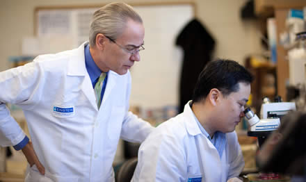 Dr. Victor Schuster nephrology lab research Montefiore Einstein Bronx NY