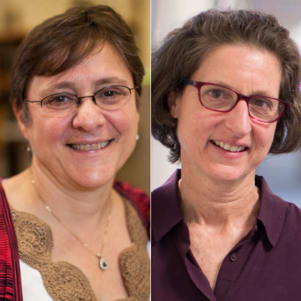 Combatting Vaccine Reluctance