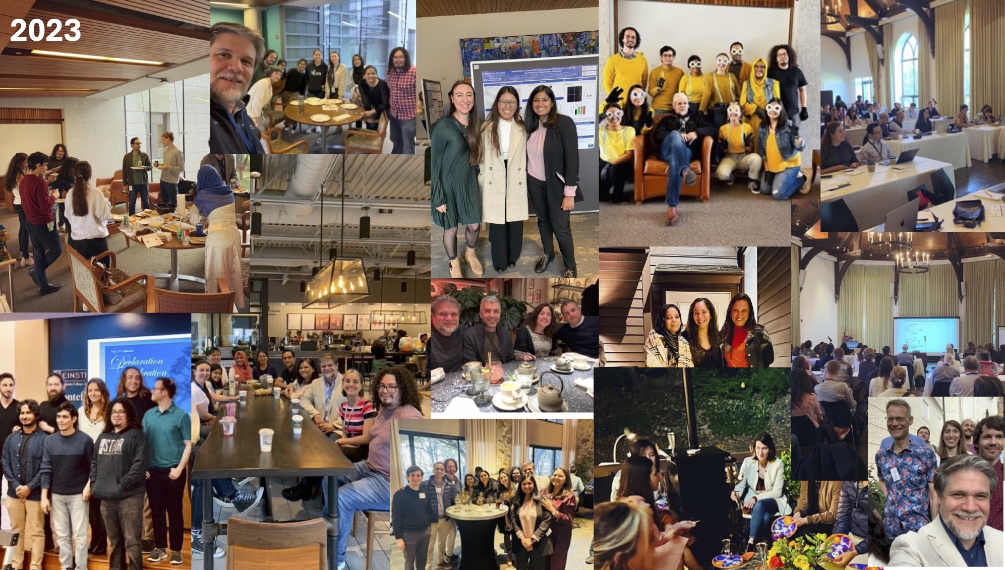 2023 Lab Life Summary