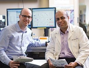 Drs. Ulrich G. Steidl and Amit K. Verma