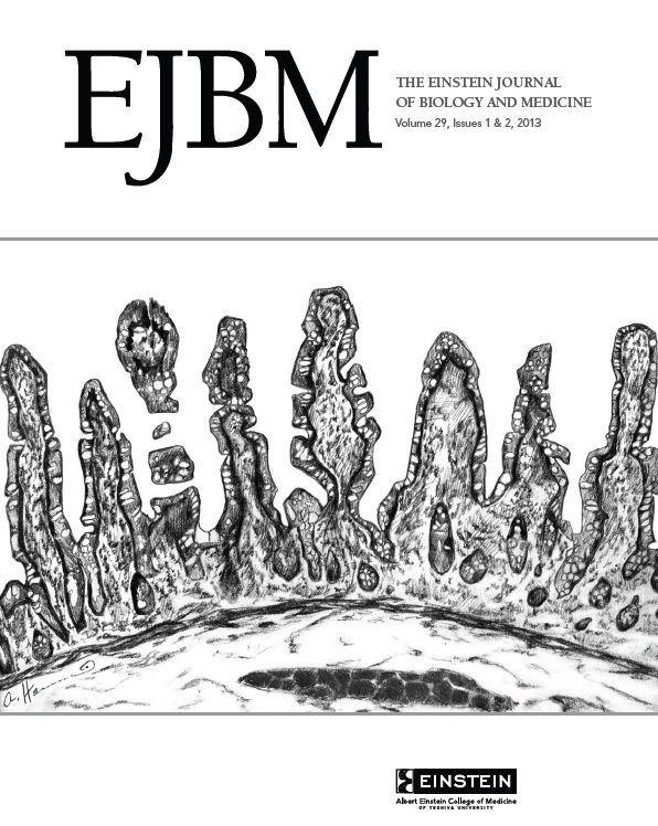 EJBM 29 Cover 