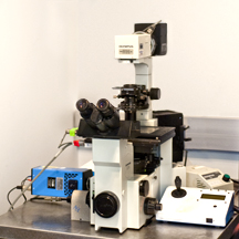Microscope-DS1