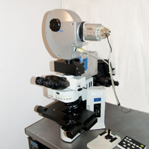 microscope DS6 / sky